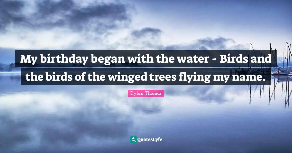 My birthday began with the water - Birds and the birds of the winged trees flying my name.