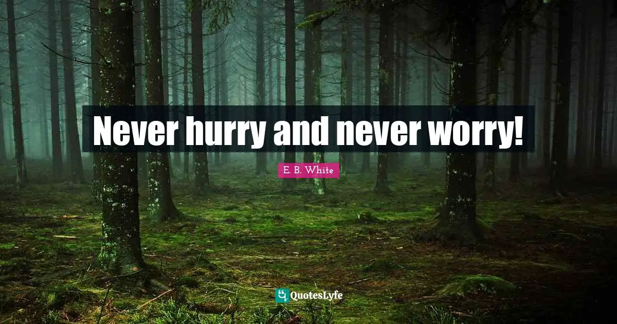 Never hurry and never worry!