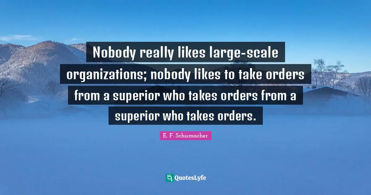 Nobody really likes large-scale organizations; nobody likes to take orders from a superior who takes orders from a superior who takes orders.