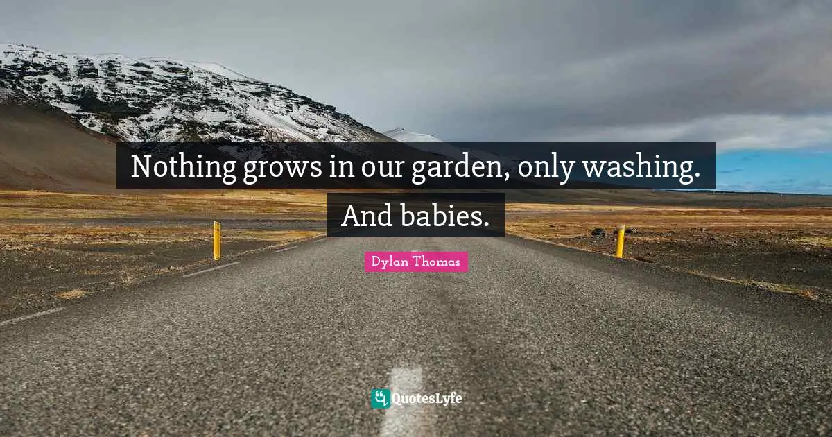 Nothing grows in our garden, only washing. And babies.