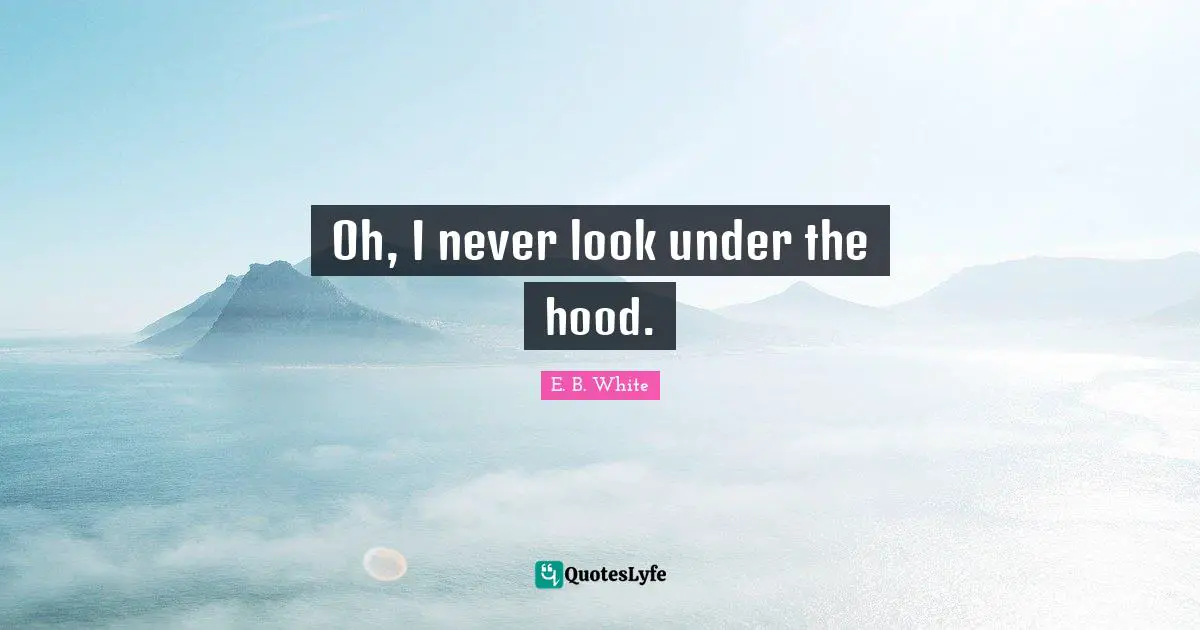 Oh, I never look under the hood.
