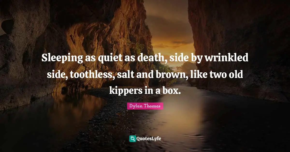 Sleeping as quiet as death, side by wrinkled side, toothless, salt and brown, like two old kippers in a box.