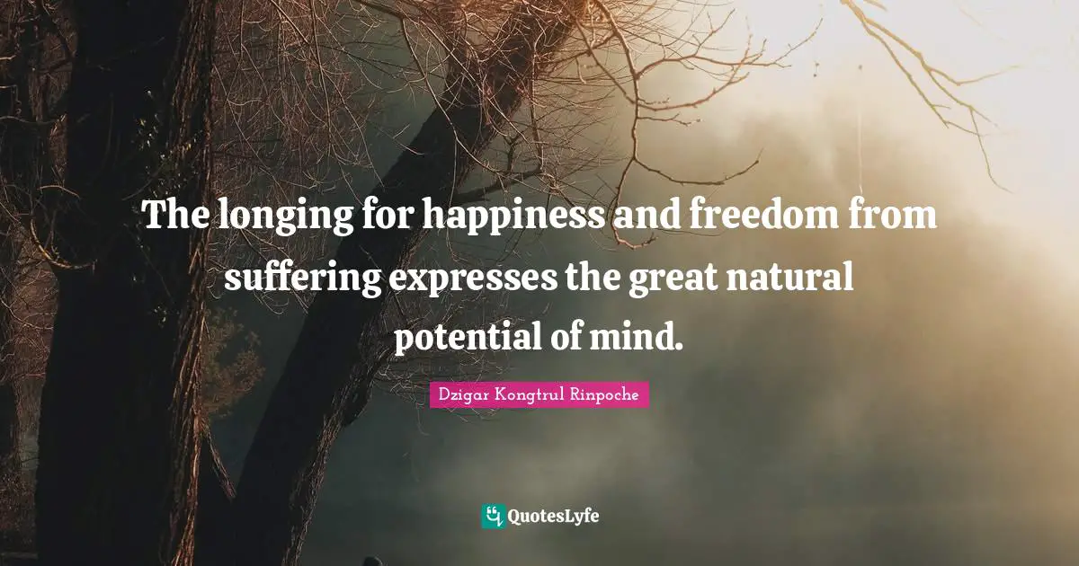 Dzigar Kongtrul Rinpoche Quotes: "The longing for happiness and freedom from suffering expresses the great natural potential of mind."