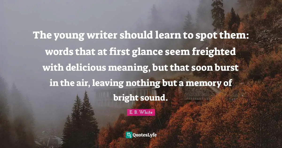 The young writer should learn to spot them: words that at first glance seem freighted with delicious meaning, but that soon burst in the air, leaving nothing but a memory of bright sound.