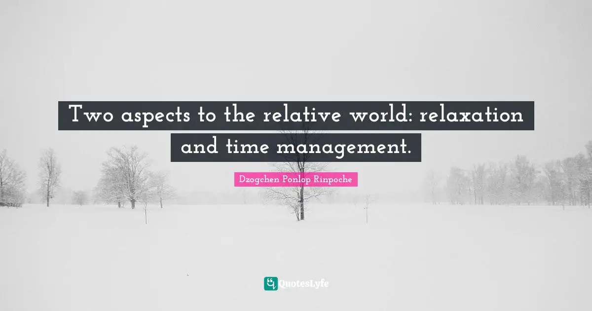 Dzogchen Ponlop Rinpoche Quotes: "Two aspects to the relative world: relaxation and time management."