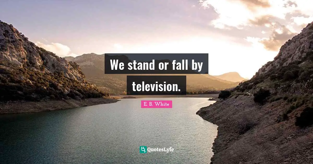 We stand or fall by television.