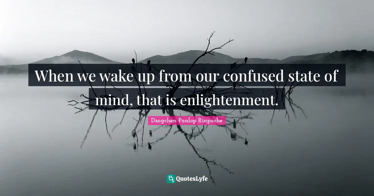 Dzogchen Ponlop Rinpoche Quotes: "When we wake up from our confused state of mind, that is enlightenment."