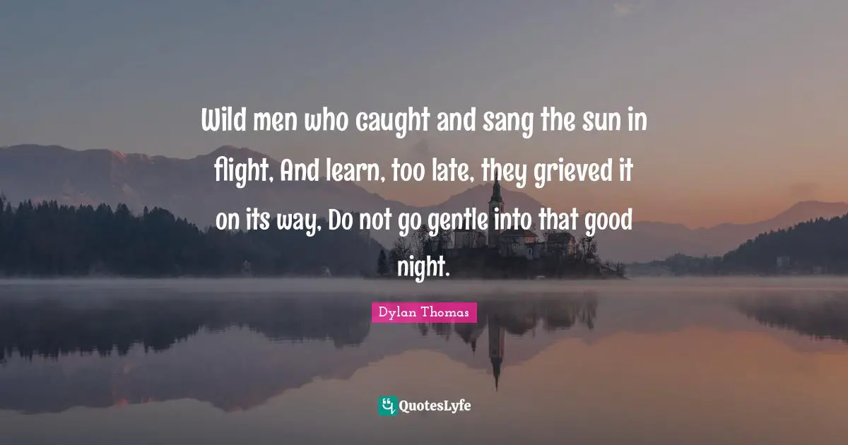 Wild men who caught and sang the sun in flight, And learn, too late, they grieved it on its way, Do not go gentle into that good night.