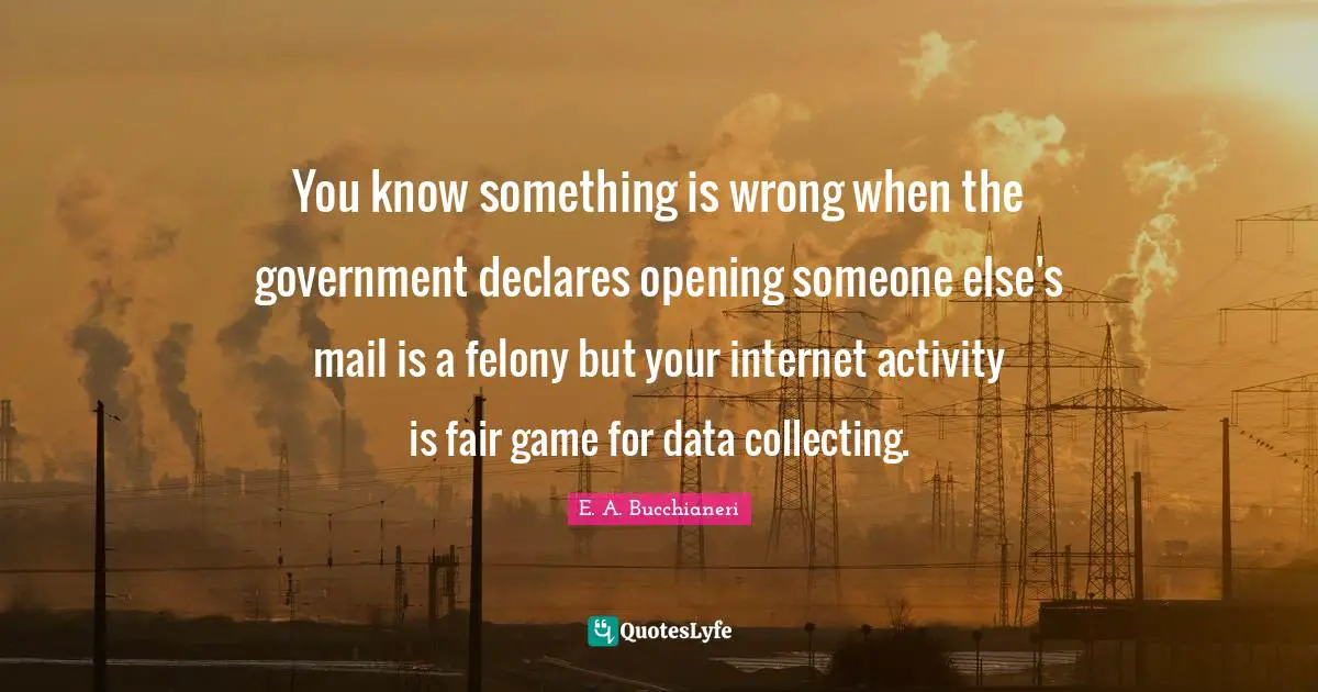 E.A. Bucchianeri Quotes: "You know something is wrong when the government declares opening someone else's mail is a felony but your internet activity is fair game for data collecting."
