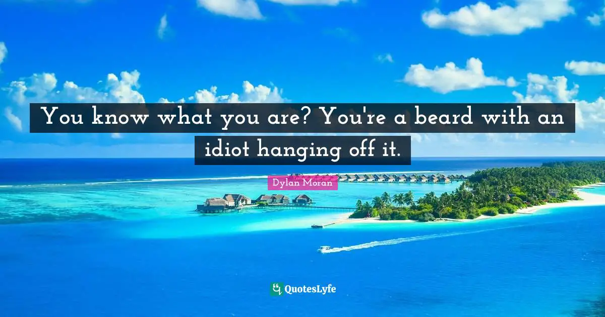 You know what you are? You're a beard with an idiot hanging off it.