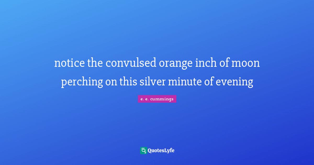 notice the convulsed orange inch of moon perching on this silver minute of evening