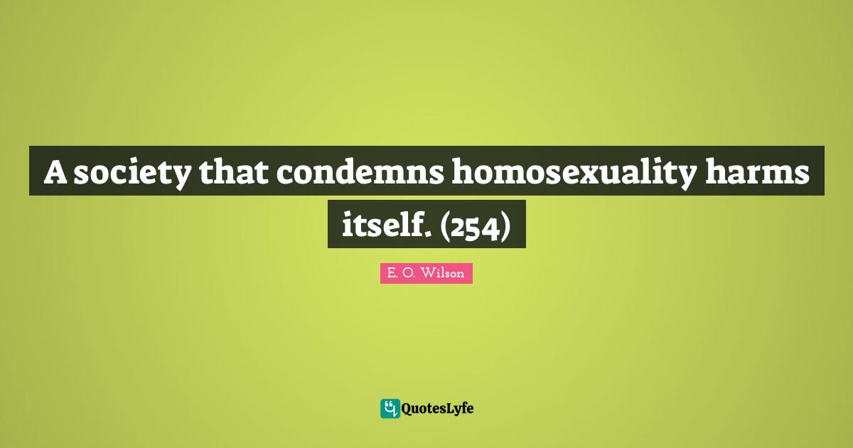 A society that condemns homosexuality harms itself. (254)