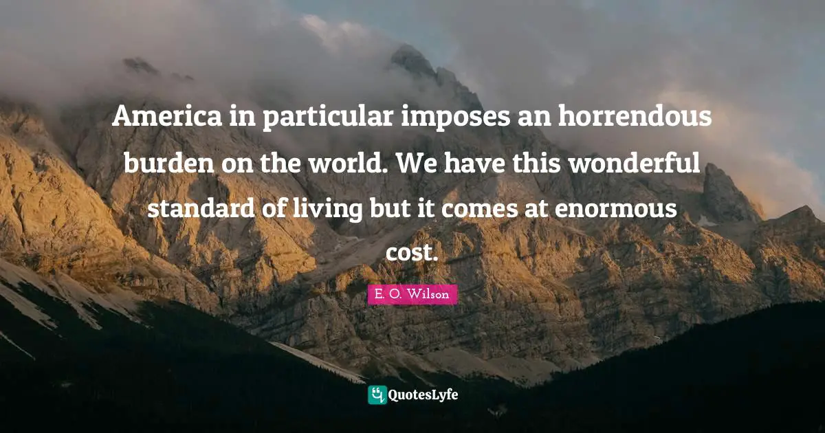 America in particular imposes an horrendous burden on the world. We have this wonderful standard of living but it comes at enormous cost.