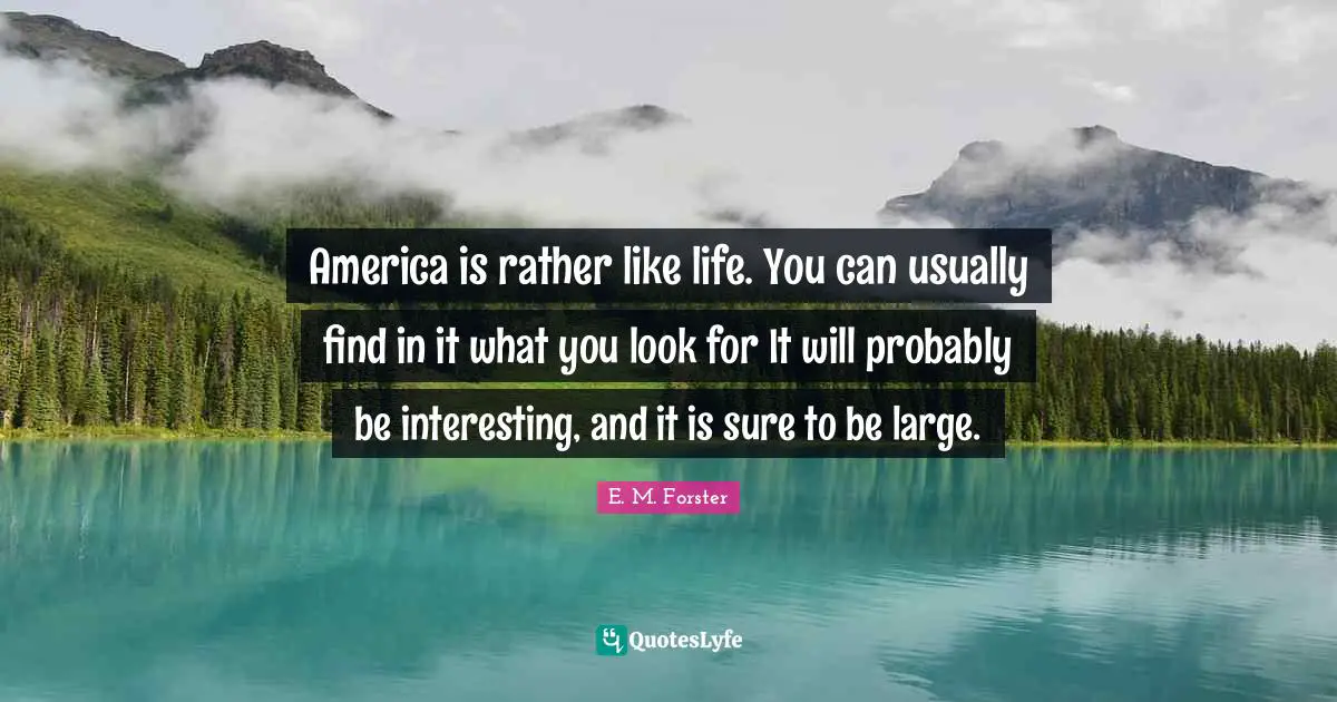 America is rather like life. You can usually find in it what you look for It will probably be interesting, and it is sure to be large.