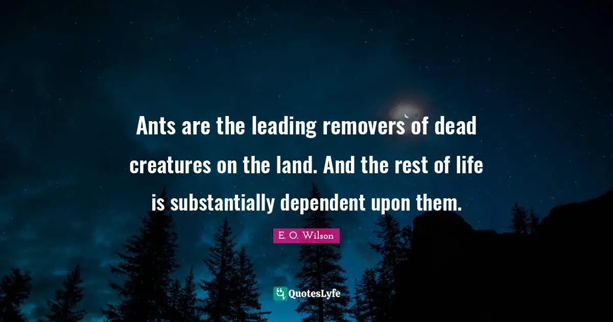 Ants are the leading removers of dead creatures on the land. And the rest of life is substantially dependent upon them.