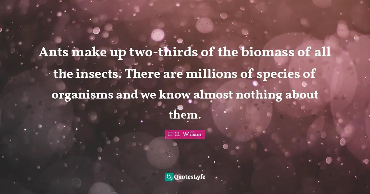 Thirds Quotes: "Ants make up two-thirds of the biomass of all the insects. There are millions of species of organisms and we know almost nothing about them."