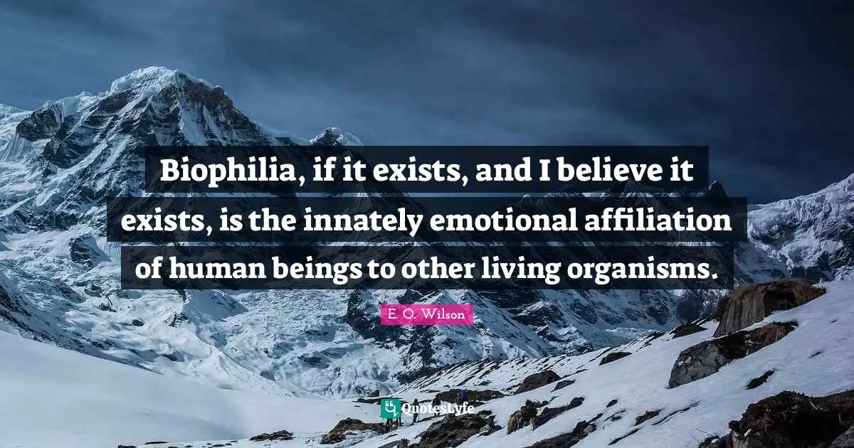 Biophilia, if it exists, and I believe it exists, is the innately emotional affiliation of human beings to other living organisms.