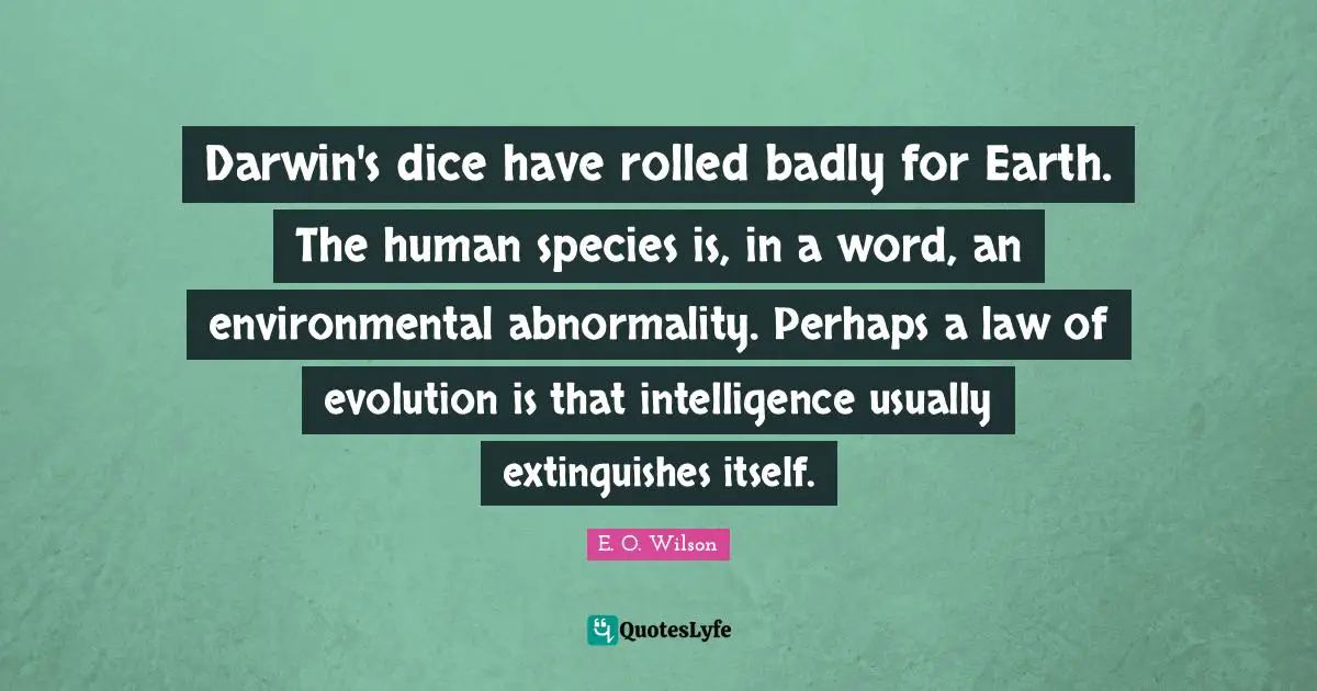 Darwin's dice have rolled badly for Earth. The human species is, in a word, an environmental abnormality. Perhaps a law of evolution is that intelligence usually extinguishes itself.