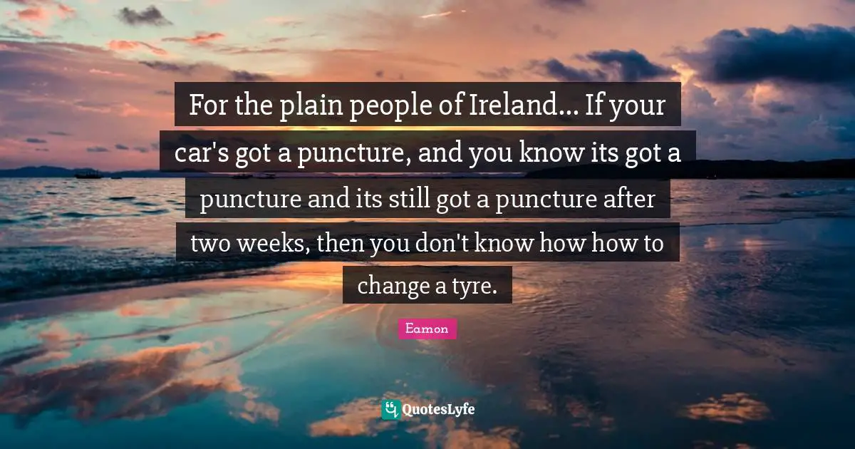 Eamon Quotes: "For the plain people of Ireland... If your car's got a puncture, and you know its got a puncture and its still got a puncture after two weeks, then you don't know how how to change a tyre."