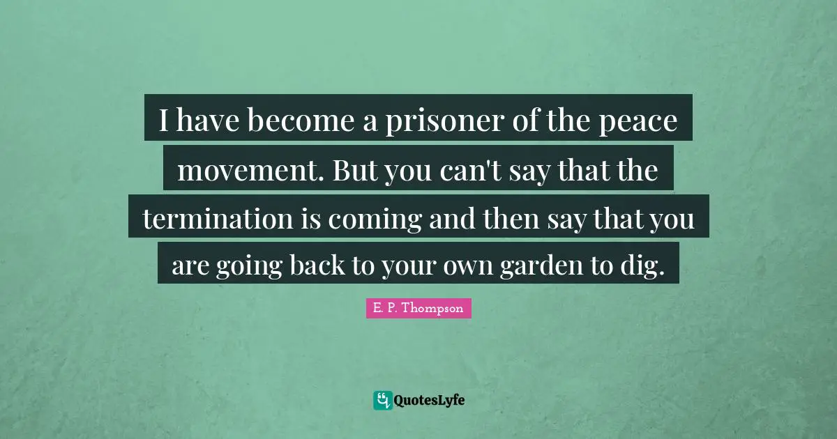 I have become a prisoner of the peace movement. But you can't say that the termination is coming and then say that you are going back to your own garden to dig.
