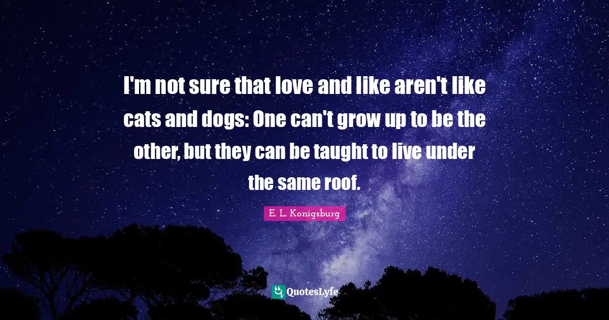 I'm not sure that love and like aren't like cats and dogs: One can't grow up to be the other, but they can be taught to live under the same roof.