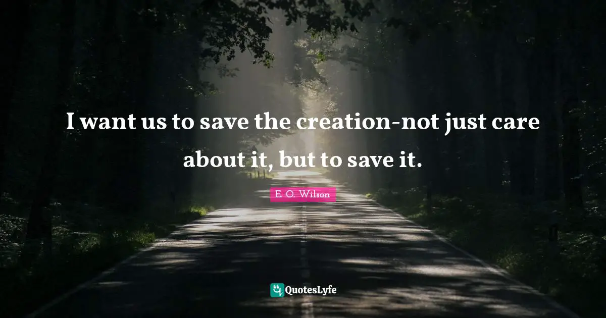 I want us to save the creation-not just care about it, but to save it.
