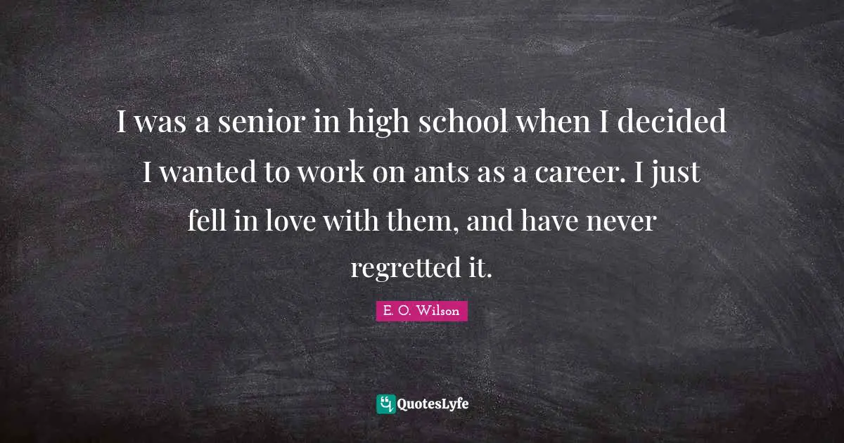 I was a senior in high school when I decided I wanted to work on ants as a career. I just fell in love with them, and have never regretted it.