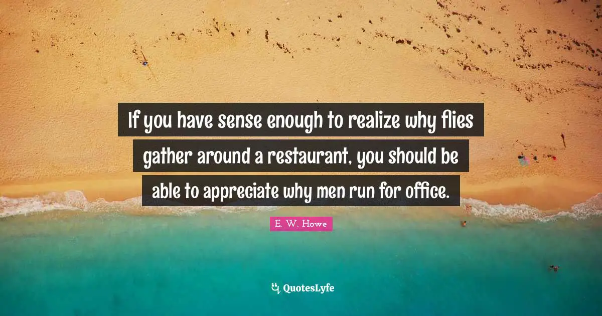 If you have sense enough to realize why flies gather around a restaurant, you should be able to appreciate why men run for office.