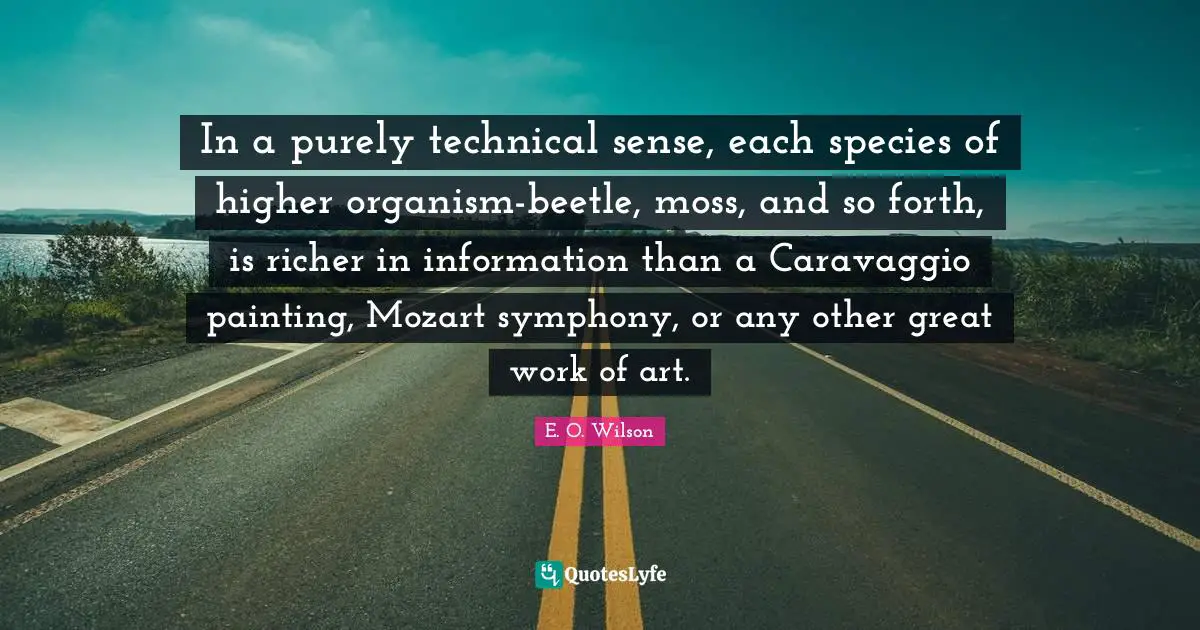 Great Work Quotes: "In a purely technical sense, each species of higher organism-beetle, moss, and so forth, is richer in information than a Caravaggio painting, Mozart symphony, or any other great work of art."