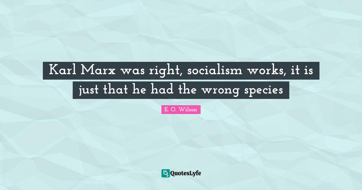 Karl Marx was right, socialism works, it is just that he had the wrong species