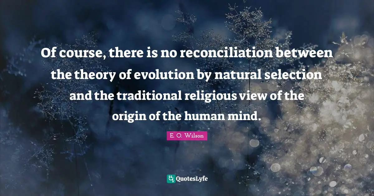 Of course, there is no reconciliation between the theory of evolution by natural selection and the traditional religious view of the origin of the human mind.