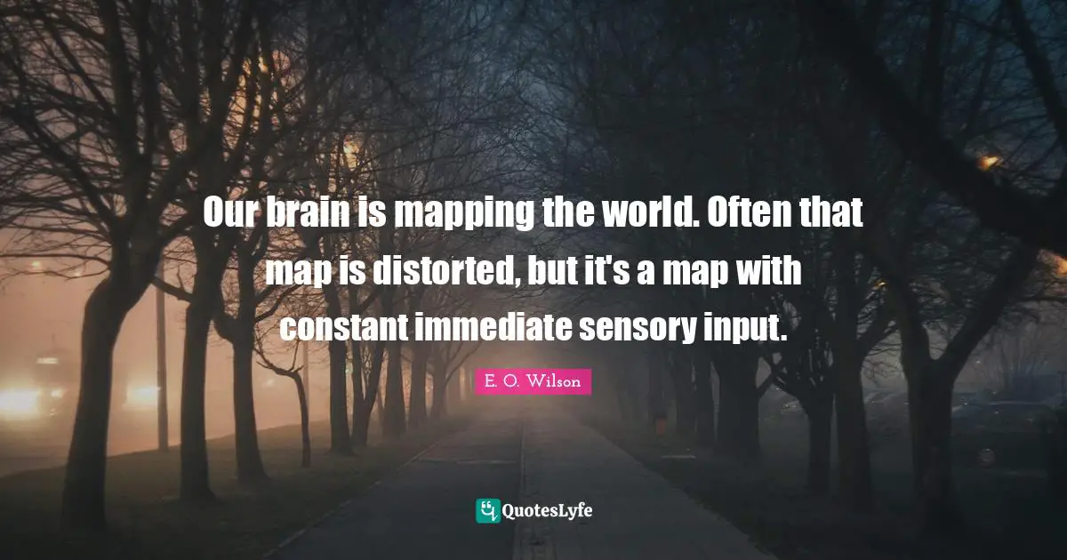 Mapping Quotes: "Our brain is mapping the world. Often that map is distorted, but it's a map with constant immediate sensory input."