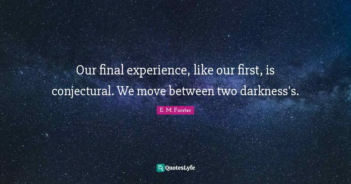 Our final experience, like our first, is conjectural. We move between two darkness's.