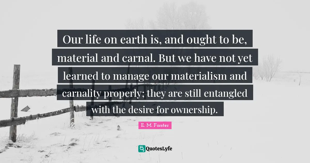 Our life on earth is, and ought to be, material and carnal. But we have not yet learned to manage our materialism and carnality properly; they are still entangled with the desire for ownership.