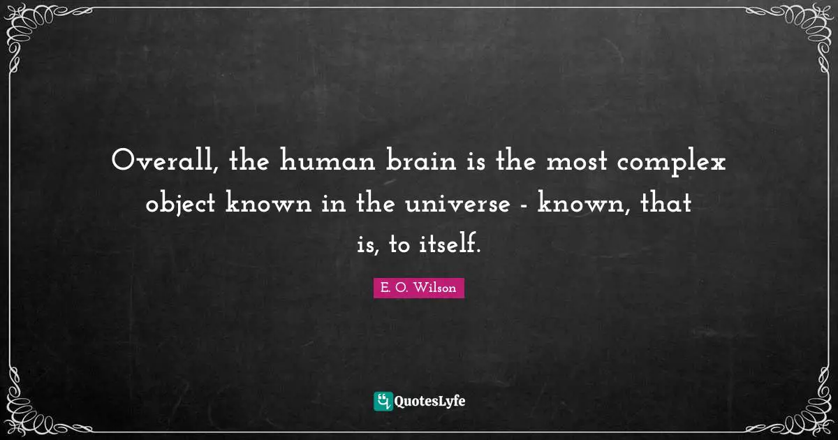 Overall, the human brain is the most complex object known in the universe - known, that is, to itself.