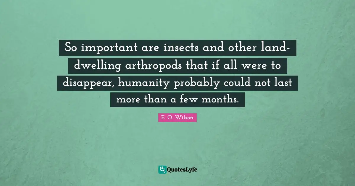 So important are insects and other land-dwelling arthropods that if all were to disappear, humanity probably could not last more than a few months.