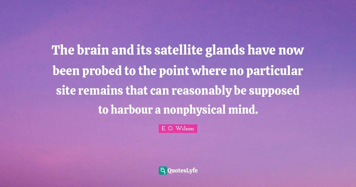 The brain and its satellite glands have now been probed to the point where no particular site remains that can reasonably be supposed to harbour a nonphysical mind.