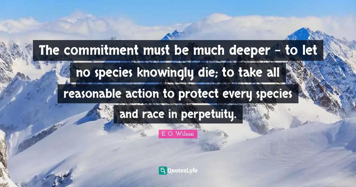 The commitment must be much deeper - to let no species knowingly die; to take all reasonable action to protect every species and race in perpetuity.