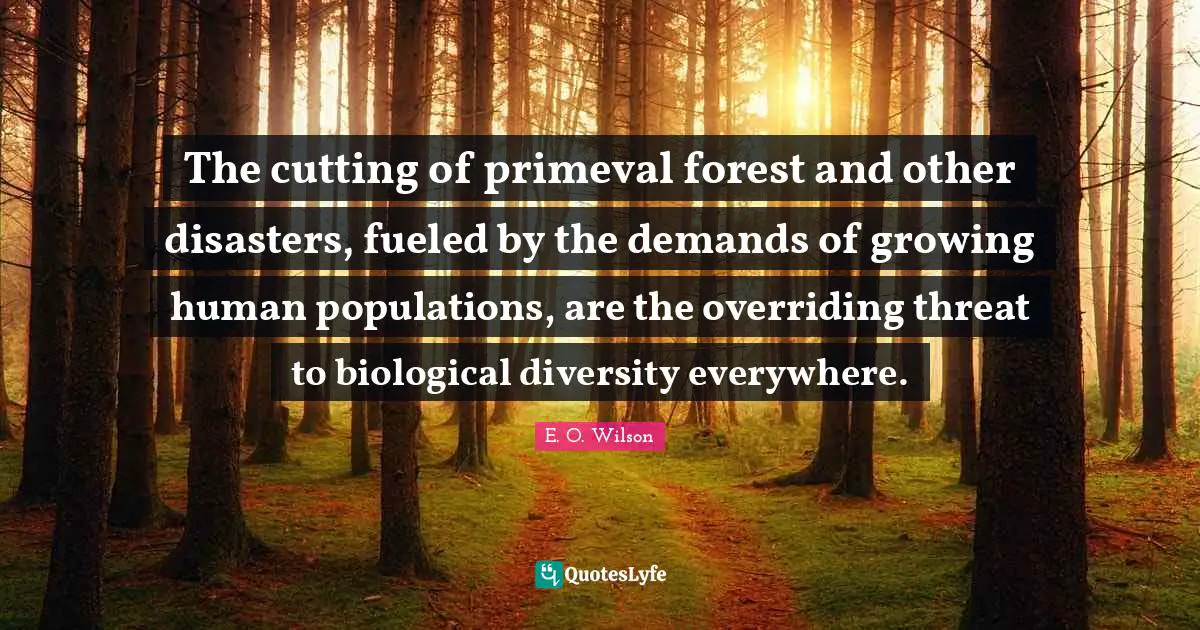 The cutting of primeval forest and other disasters, fueled by the demands of growing human populations, are the overriding threat to biological diversity everywhere.
