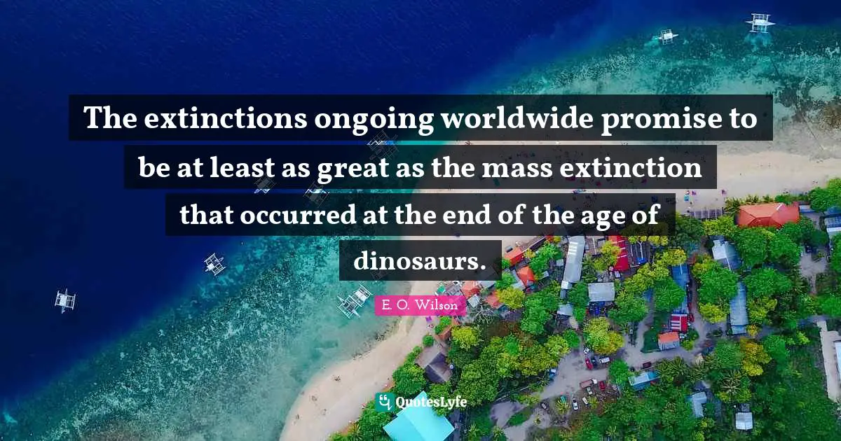 The extinctions ongoing worldwide promise to be at least as great as the mass extinction that occurred at the end of the age of dinosaurs.