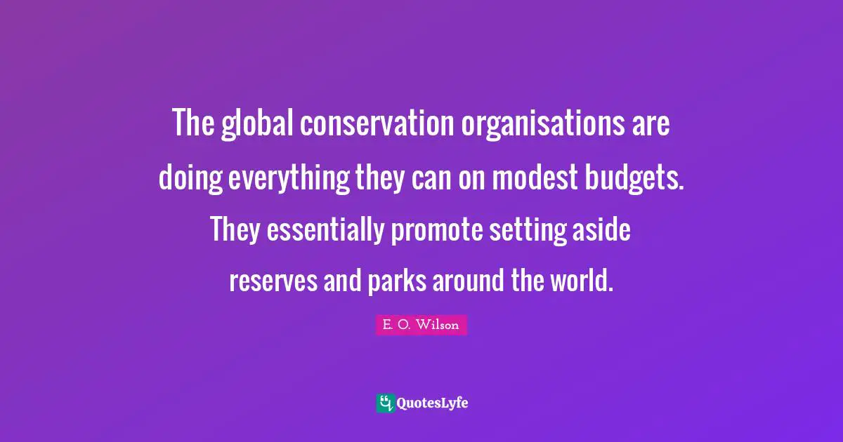 The global conservation organisations are doing everything they can on modest budgets. They essentially promote setting aside reserves and parks around the world.