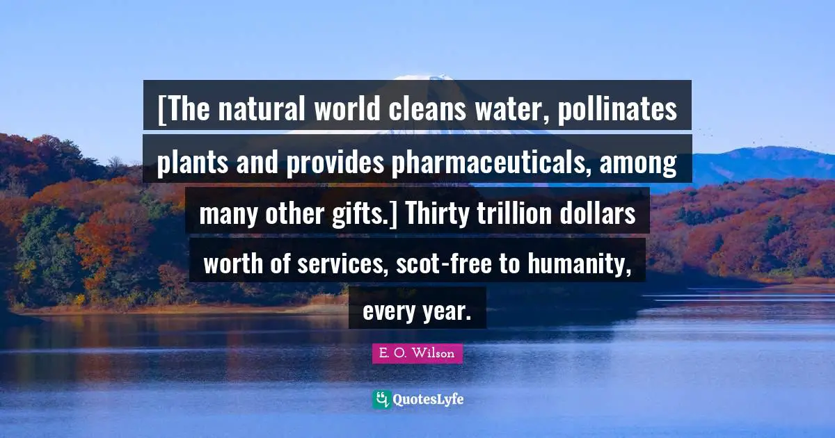 [The natural world cleans water, pollinates plants and provides pharmaceuticals, among many other gifts.] Thirty trillion dollars worth of services, scot-free to humanity, every year.
