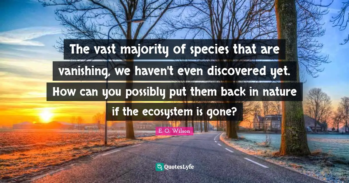 The vast majority of species that are vanishing, we haven't even discovered yet. How can you possibly put them back in nature if the ecosystem is gone?