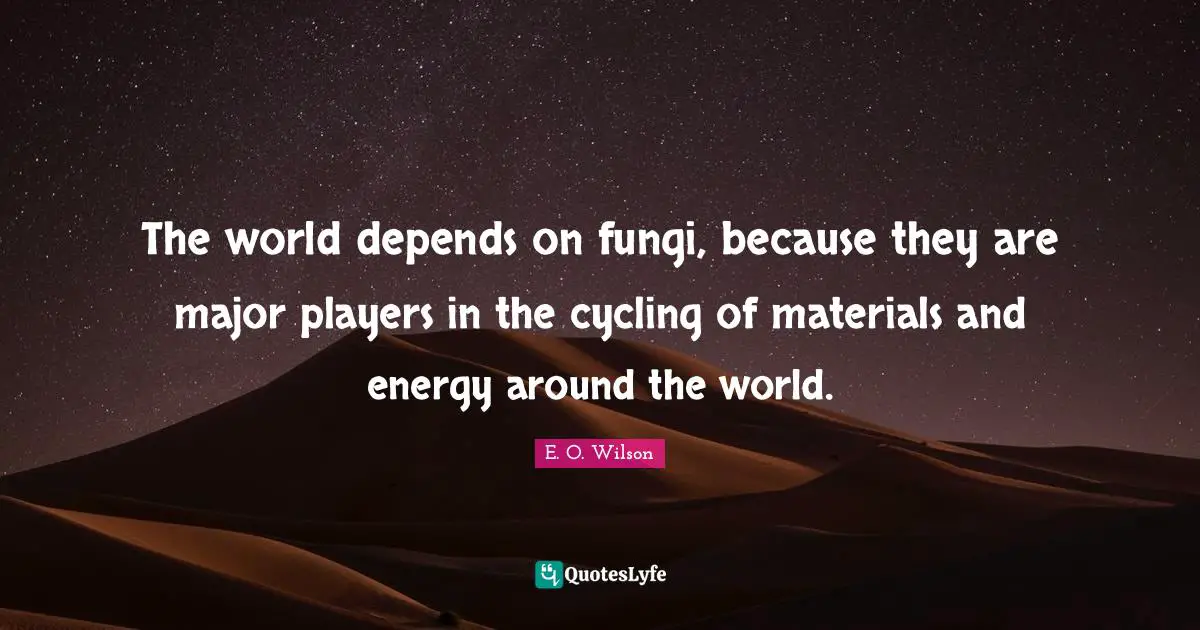 Around The World Quotes: "The world depends on fungi, because they are major players in the cycling of materials and energy around the world."