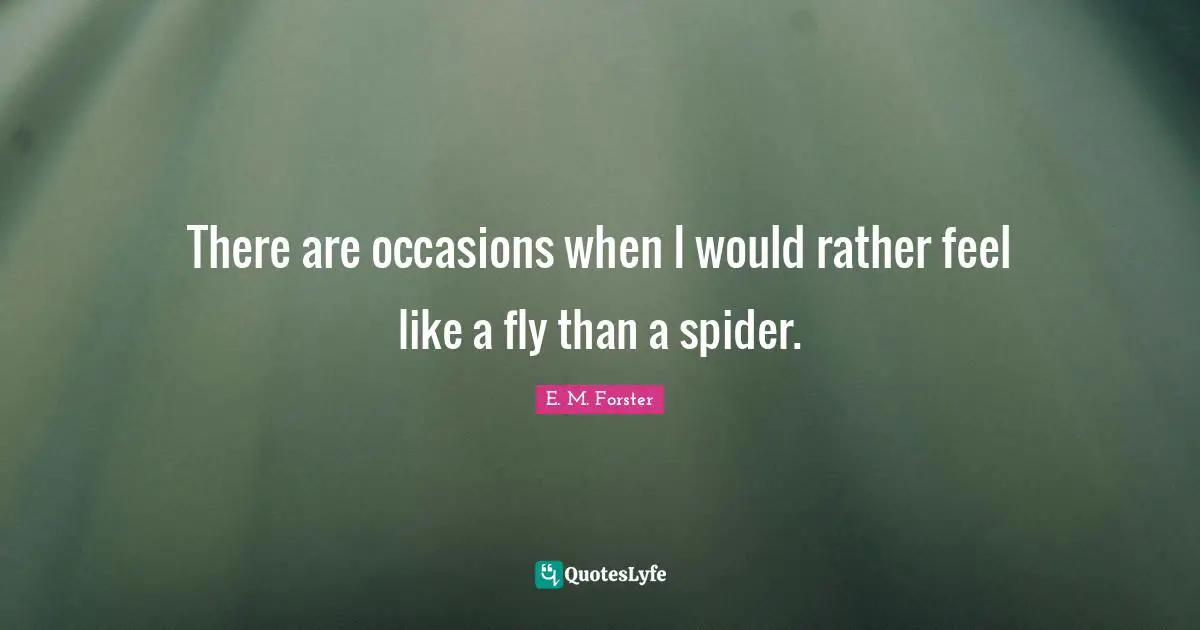 There are occasions when I would rather feel like a fly than a spider.