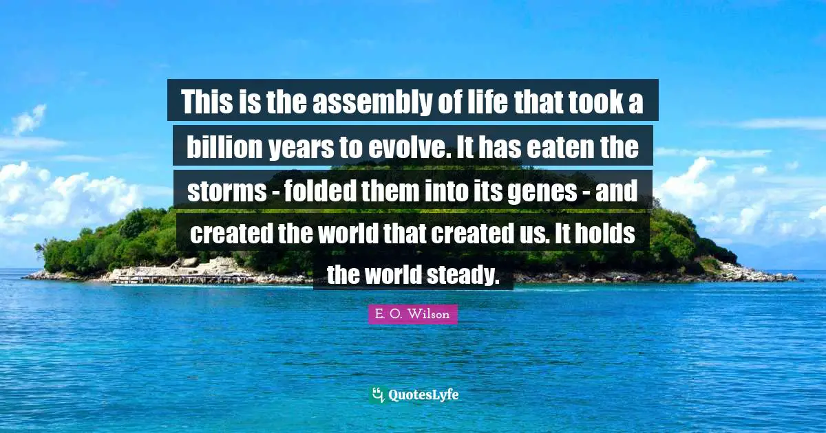 This is the assembly of life that took a billion years to evolve. It has eaten the storms - folded them into its genes - and created the world that created us. It holds the world steady.