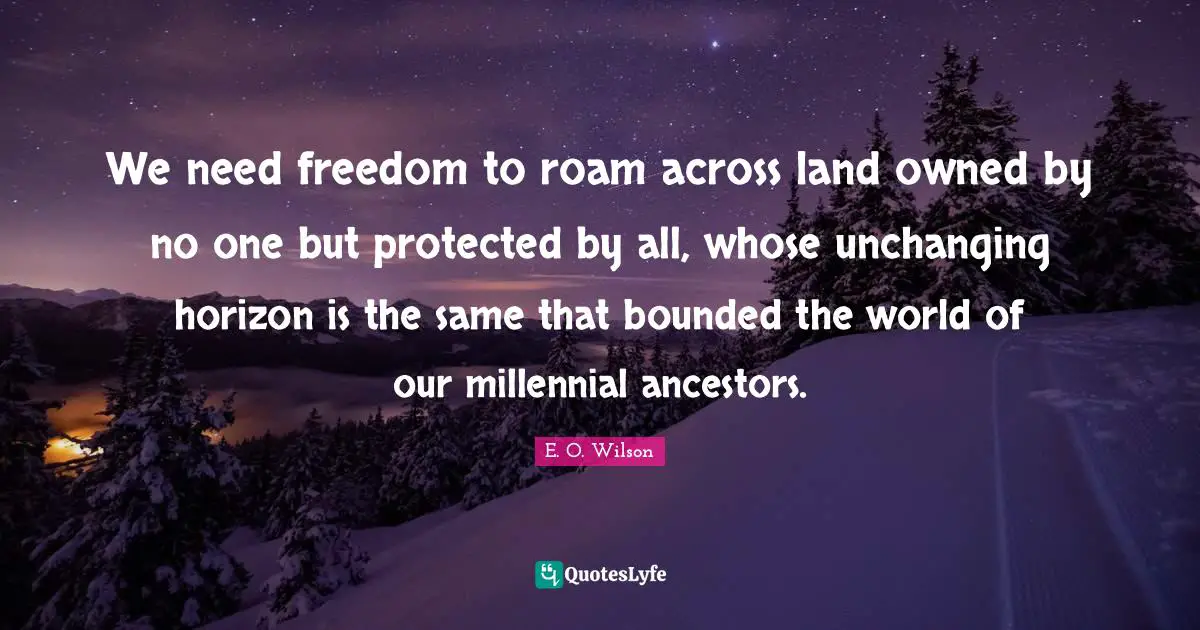 We need freedom to roam across land owned by no one but protected by all, whose unchanging horizon is the same that bounded the world of our millennial ancestors.