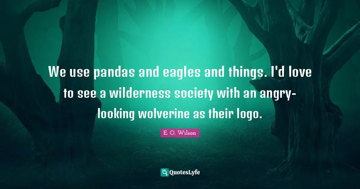 Wilderness Quotes: "We use pandas and eagles and things. I'd love to see a wilderness society with an angry-looking wolverine as their logo."