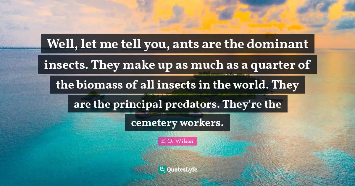 Dominant Quotes: "Well, let me tell you, ants are the dominant insects. They make up as much as a quarter of the biomass of all insects in the world. They are the principal predators. They're the cemetery workers."
