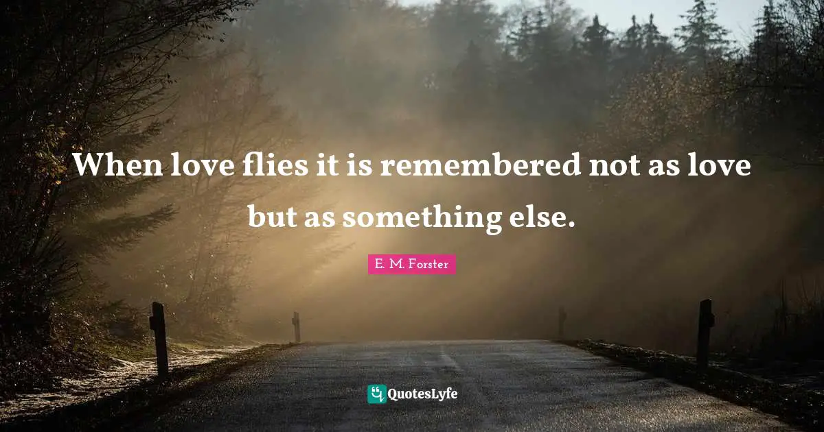 When love flies it is remembered not as love but as something else.